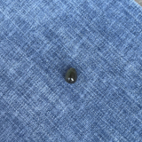 One of a Precious egg