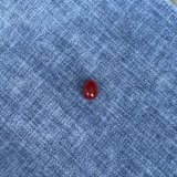 One of a Precious egg