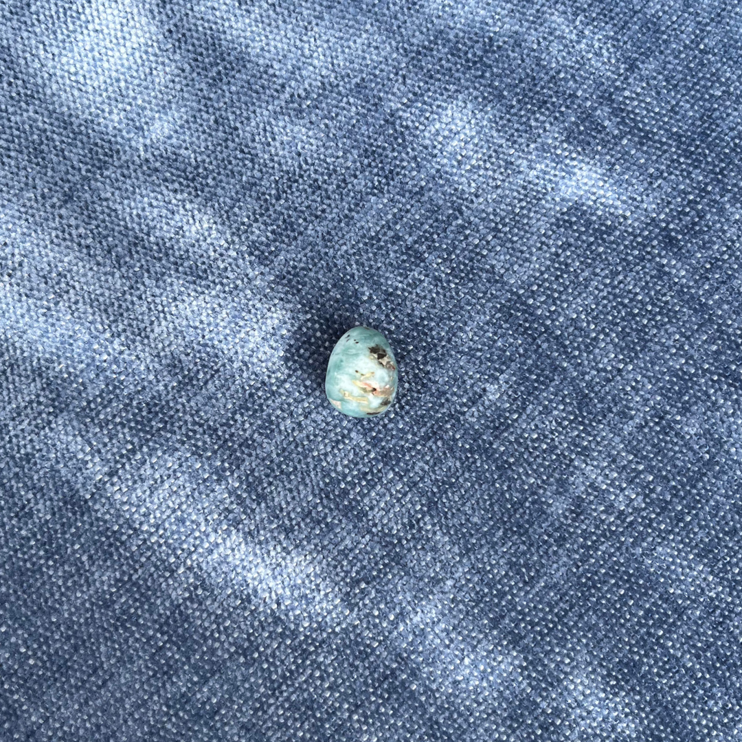 One of a Precious egg