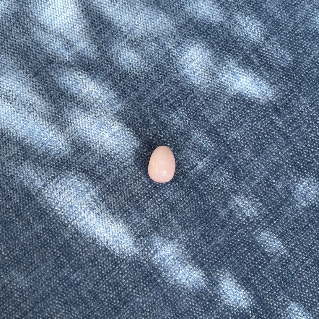 One of a Precious egg