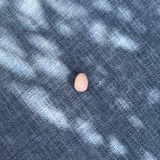 One of a Precious egg