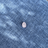 One of a Precious egg